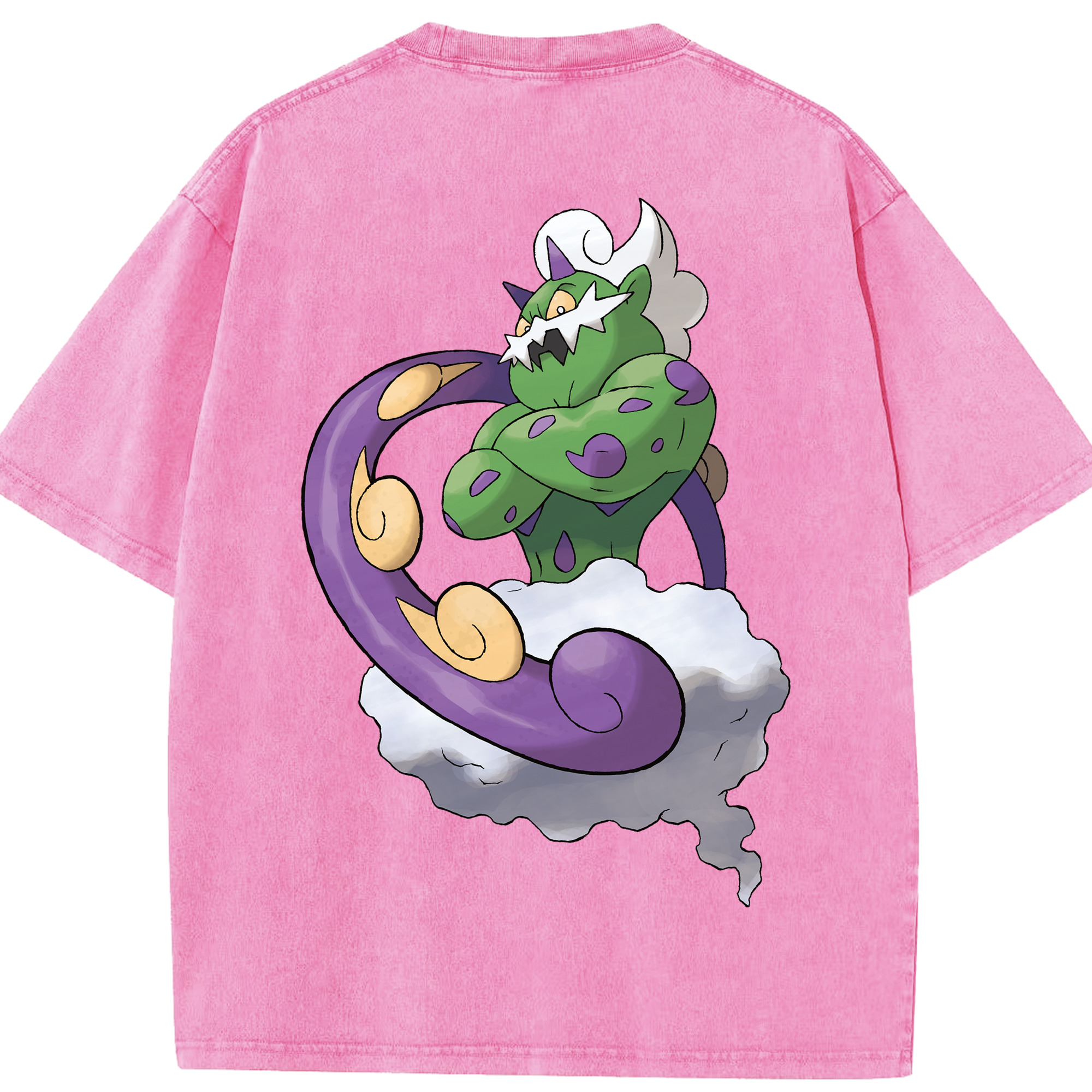 （画像用） ポケットモンスター Pokémon 綿100% ヴィンテージ風 半袖Tシャツ（背面プリント）